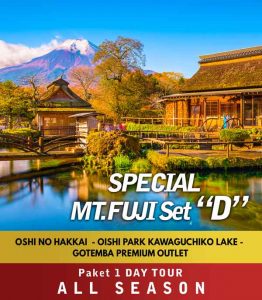 [THUMB]Special-Mt-Fuji-Set-D